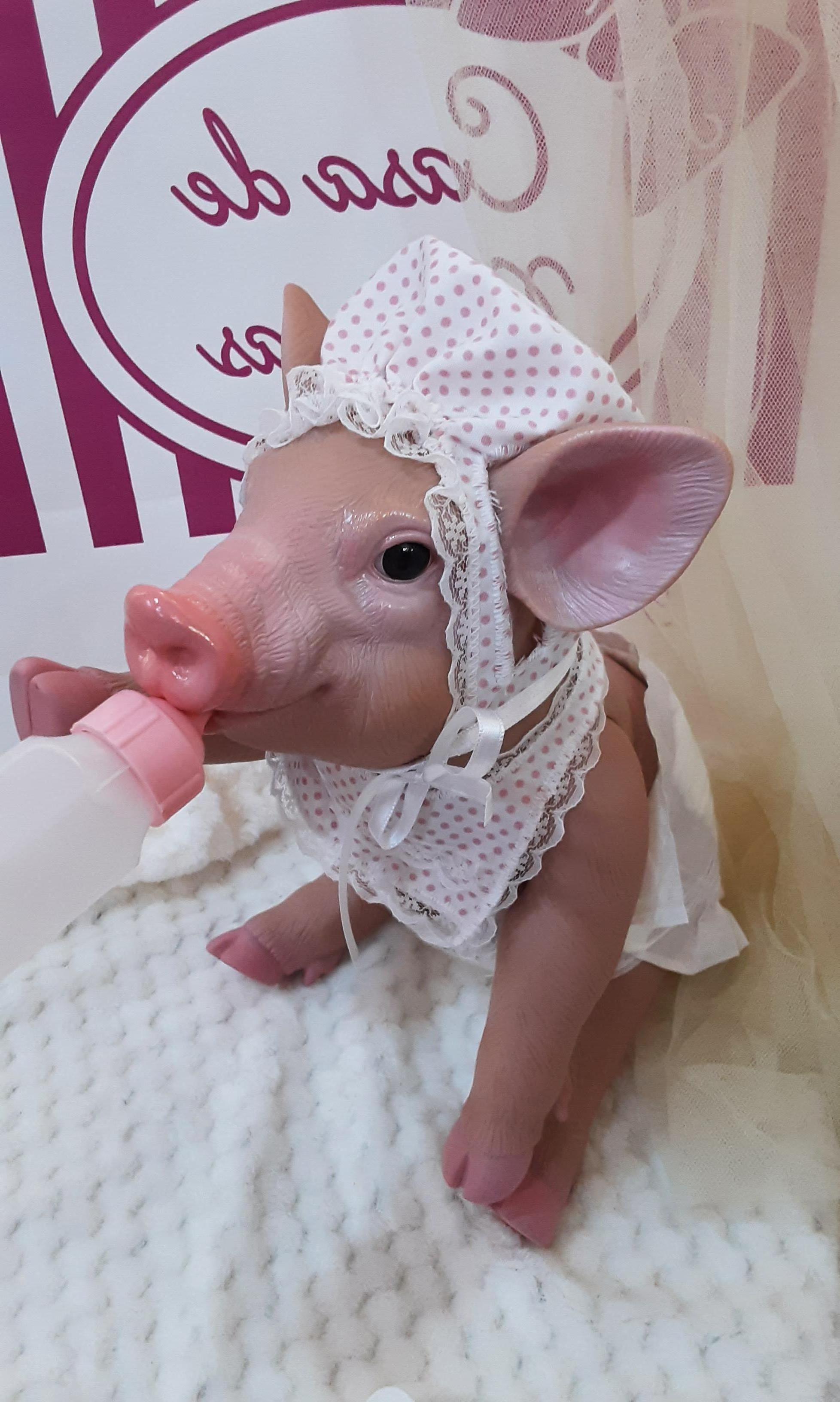 36-baby pig